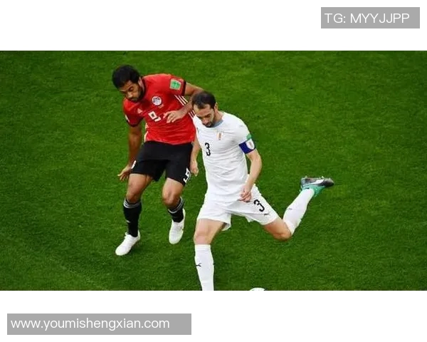 意大利与埃及世界杯对决精彩回顾与赛后分析 意大利与埃及世界杯对决精彩回顾与赛后分析