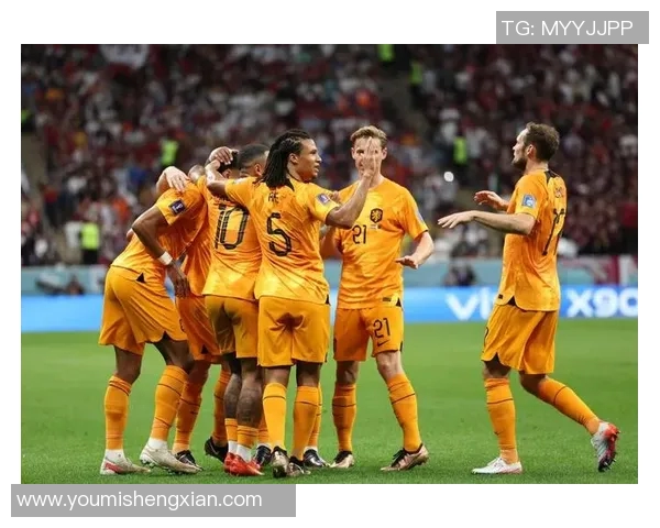荷兰与塞内加尔精彩对决回放全程回顾与赛后分析 荷兰与塞内加尔精彩对决回放全程回顾与赛后分析