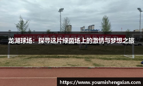 龙湖球场：探寻这片绿茵场上的激情与梦想之旅